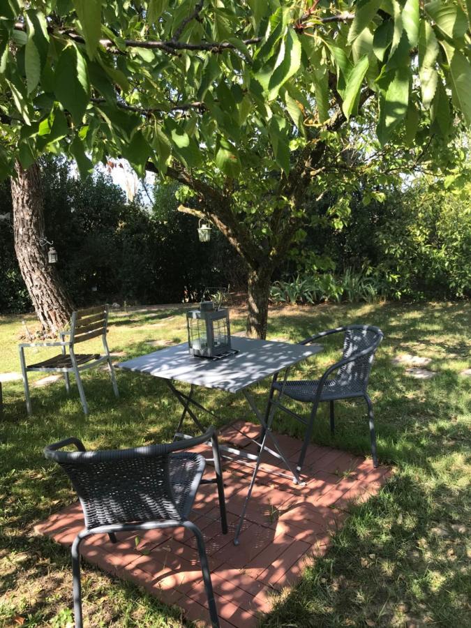 לינה וארוחת בוקר קרקסון Le Jardin De La Cite מראה חיצוני תמונה